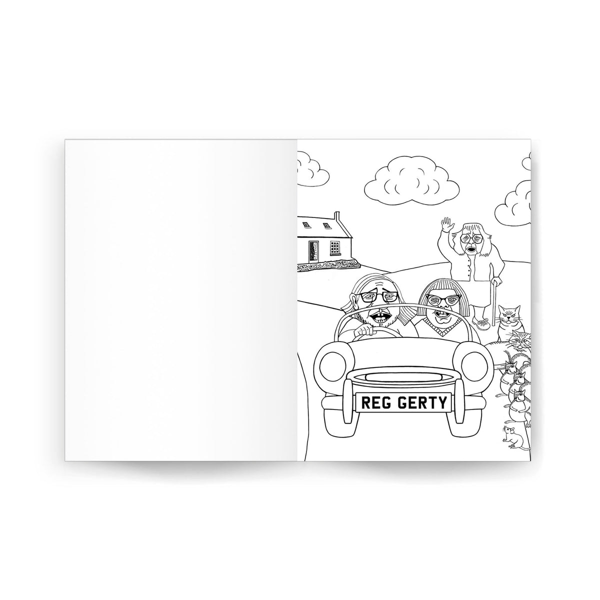 The Reginald Stinkbottom Colouring Book